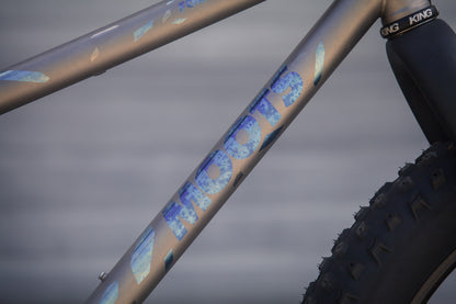 FORAGER | SIZE MEDIUM | SRAM XO TRANSMISSION