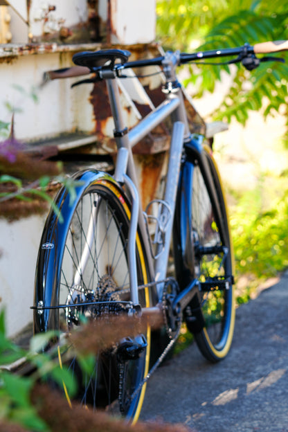 CITY SLICKER | SIZE 54 | SHIMANO Q'AUTO