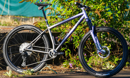 Silver mountain bike leaning against a green bush with a blurred background